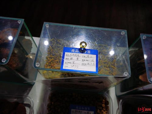 服務(wù)區(qū)高價鹿茸鹿鞭引爭議，高速公司表態(tài)嚴查整改